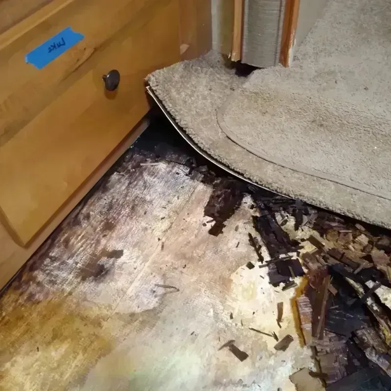 Wood Floor Water Damage in Almedia, PA